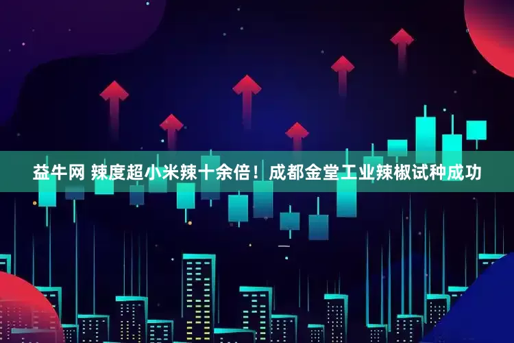 益牛网 辣度超小米辣十余倍！成都金堂工业辣椒试种成功
